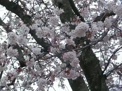 北山神社(福岡県)