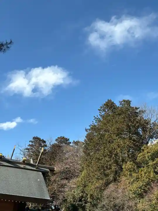櫻木神社(千葉県)