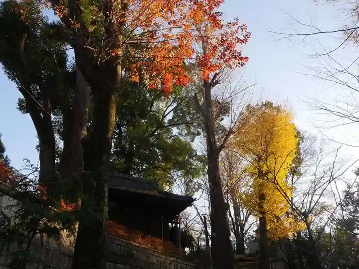西向天神社のその他建物