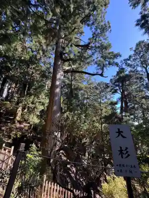 玉置神社(奈良県)