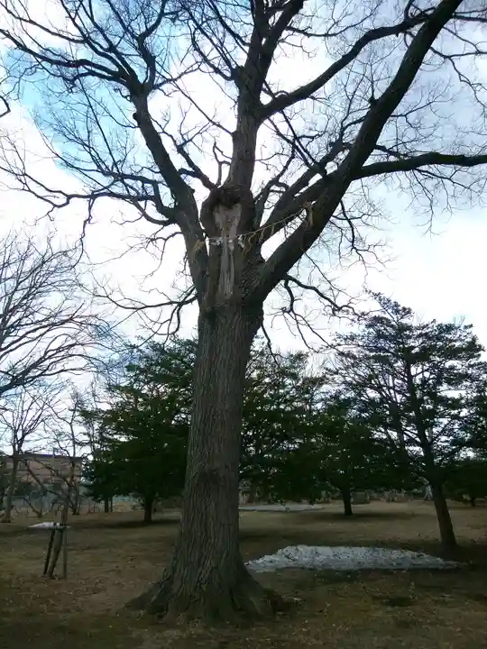 厚別神社(北海道)