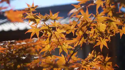 龍田大社(奈良県)