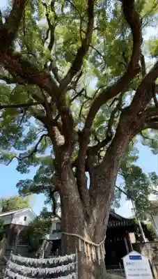 艮神社(広島県)