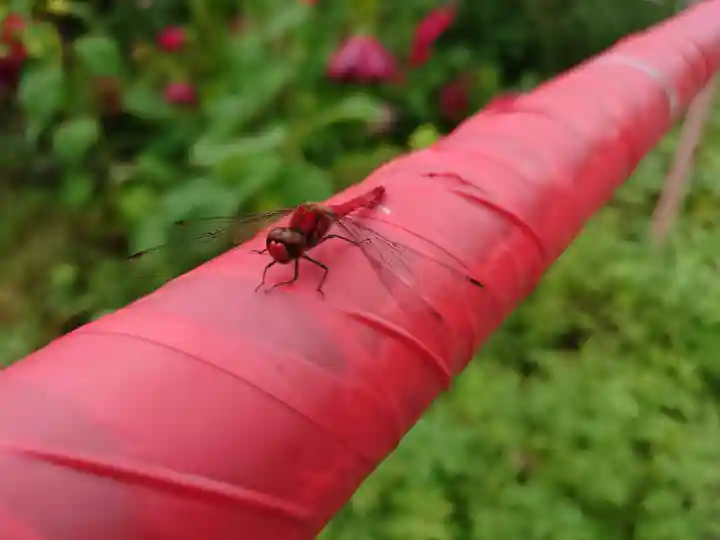 栗山天満宮(北海道)