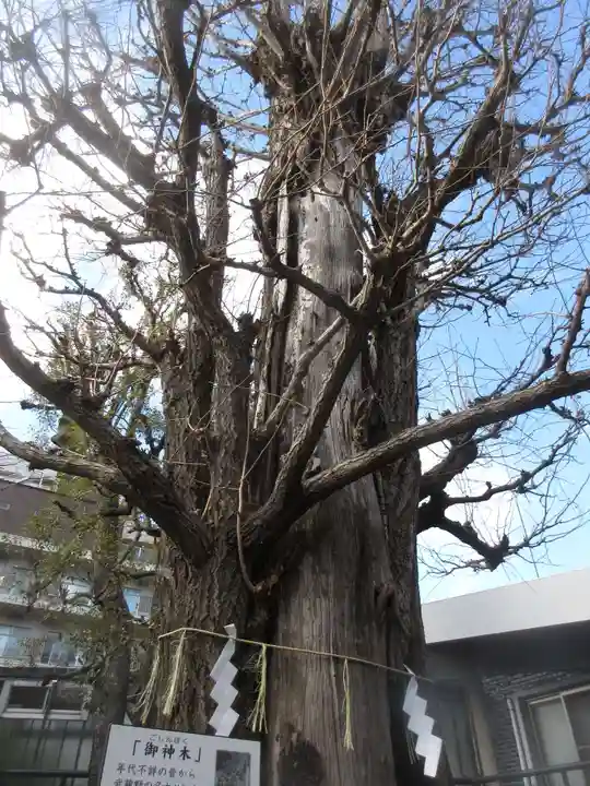大鳥神社(東京都)