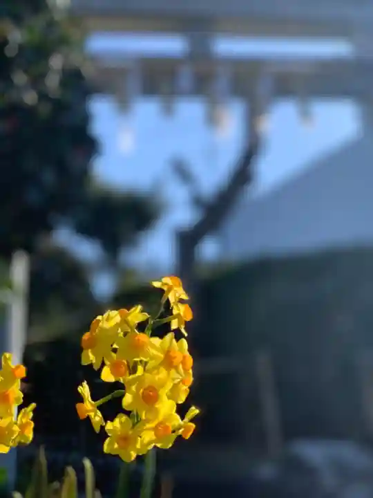 横浜御嶽神社の自然