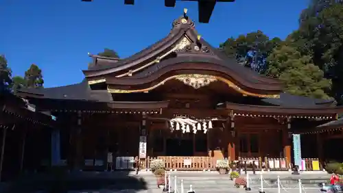 亀ケ池八幡宮の本殿・本堂