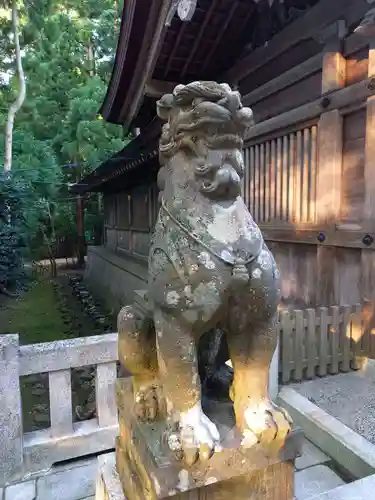 彌彦神社の狛犬