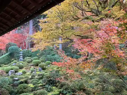 三千院門跡(京都府)