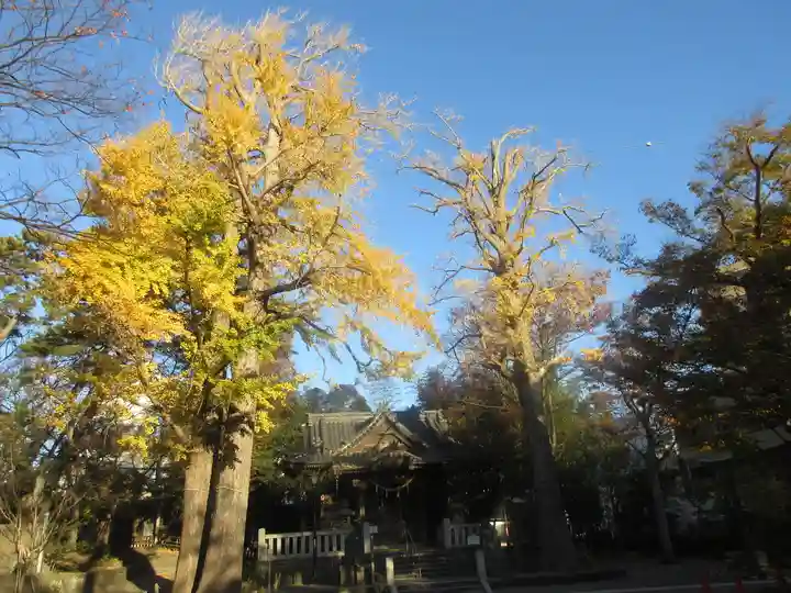 亀岡八幡宮(亀岡八幡神社)の景色