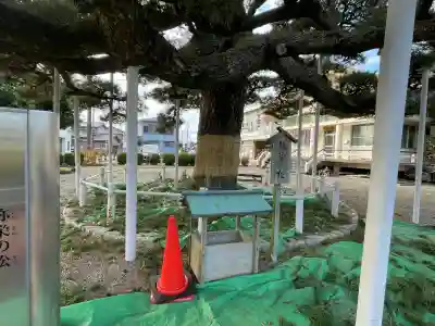 日保見山八幡宮の{uncategorized: "未分類", other: "その他", undefined: "問題あり", building: "その他建物", grave: "お墓", sacred_gate: "鳥居", guardian: "狛犬", statue: "像", buddha: "仏像", history: "歴史", nature: "自然", garden: "庭園", animal: "動物", pagoda: "塔", temizu: "手水舎", mountain_gate: "山門・神門", sanctuary: "本殿・本堂", subordinate: "末社・摂社", art: "芸術", scenery: "景色", jizo: "地蔵", ema: "絵馬", goshuin: "御朱印", omikuji: "おみくじ", items: "授与品その他", amulet: "お守り", goshuincho: "御朱印帳", eats: "食事", festival: "お祭り", votive_dance: "神楽", shichigosan: "七五三参", wedding: "結婚式", experience: "体験その他", initially: "初詣", around: "周辺", anti_infection: "感染症対策"}