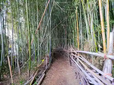 高木稲荷の自然