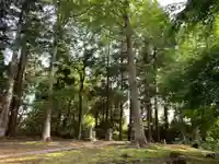 前玉神社の自然