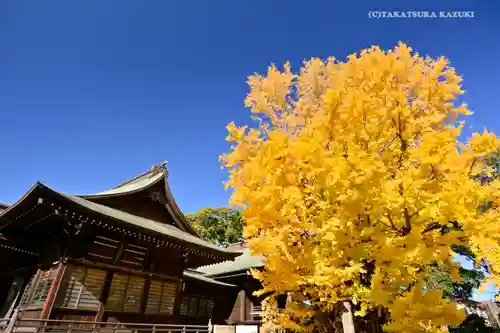 葛飾八幡宮(千葉県)