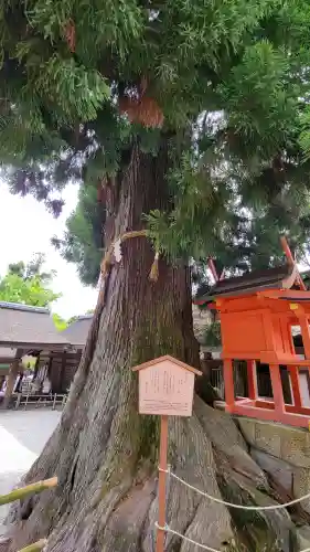 春日大社(奈良県)