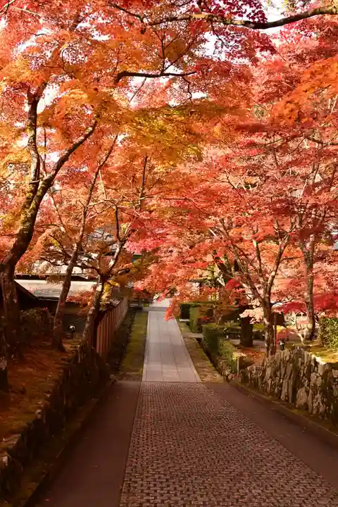 永源寺(滋賀県)