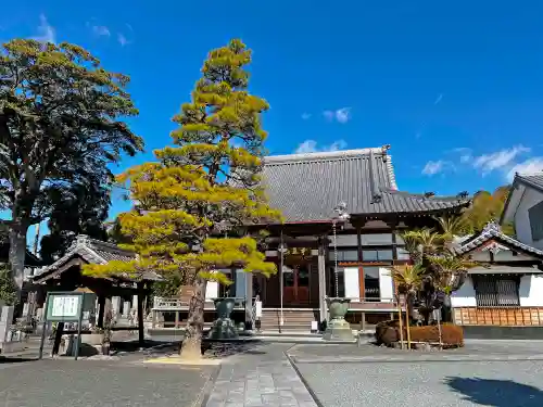 玄妙寺の本殿・本堂
