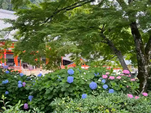 勝尾寺(大阪府)