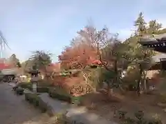 延命寺の庭園