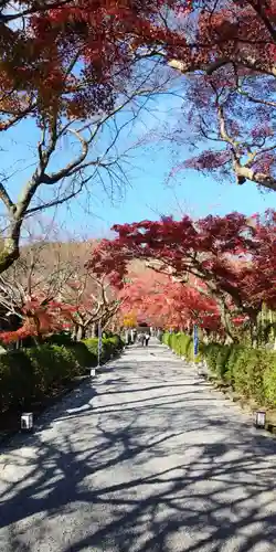 西教寺の建物その他