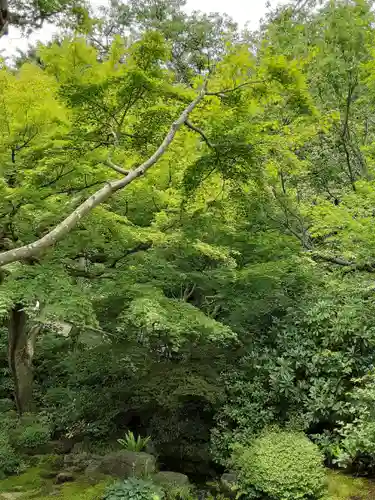 長谷寺の庭園