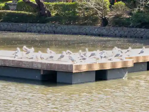 旗上弁財天社の{uncategorized: "未分類", other: "その他", undefined: "問題あり", building: "その他建物", grave: "お墓", sacred_gate: "鳥居", guardian: "狛犬", statue: "像", buddha: "仏像", history: "歴史", nature: "自然", garden: "庭園", animal: "動物", pagoda: "塔", temizu: "手水舎", mountain_gate: "山門・神門", sanctuary: "本殿・本堂", subordinate: "末社・摂社", art: "芸術", scenery: "景色", jizo: "地蔵", ema: "絵馬", goshuin: "御朱印", omikuji: "おみくじ", items: "授与品その他", amulet: "お守り", goshuincho: "御朱印帳", eats: "食事", festival: "お祭り", votive_dance: "神楽", shichigosan: "七五三参", wedding: "結婚式", experience: "体験その他", initially: "初詣", around: "周辺", anti_infection: "感染症対策"}