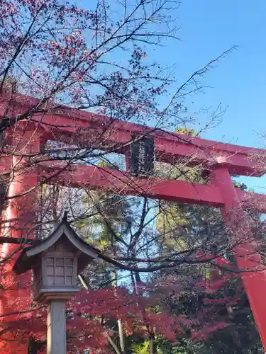 冠稲荷神社の鳥居