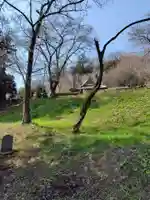 虚空蔵堂 (埼玉県)