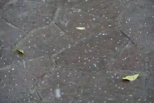 滑川神社 - 仕事と子どもの守り神の自然