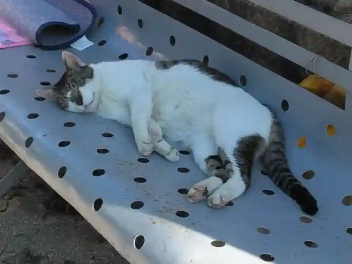 叶神社(東叶神社)(神奈川県)