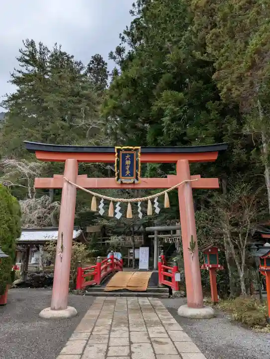 天河大辨財天社の{uncategorized: "未分類", other: "その他", undefined: "問題あり", building: "その他建物", grave: "お墓", sacred_gate: "鳥居", guardian: "狛犬", statue: "像", buddha: "仏像", history: "歴史", nature: "自然", garden: "庭園", animal: "動物", pagoda: "塔", temizu: "手水舎", mountain_gate: "山門・神門", sanctuary: "本殿・本堂", subordinate: "末社・摂社", art: "芸術", scenery: "景色", jizo: "地蔵", ema: "絵馬", goshuin: "御朱印", omikuji: "おみくじ", items: "授与品その他", amulet: "お守り", goshuincho: "御朱印帳", eats: "食事", festival: "お祭り", votive_dance: "神楽", shichigosan: "七五三参", wedding: "結婚式", experience: "体験その他", initially: "初詣", around: "周辺", anti_infection: "感染症対策"}
