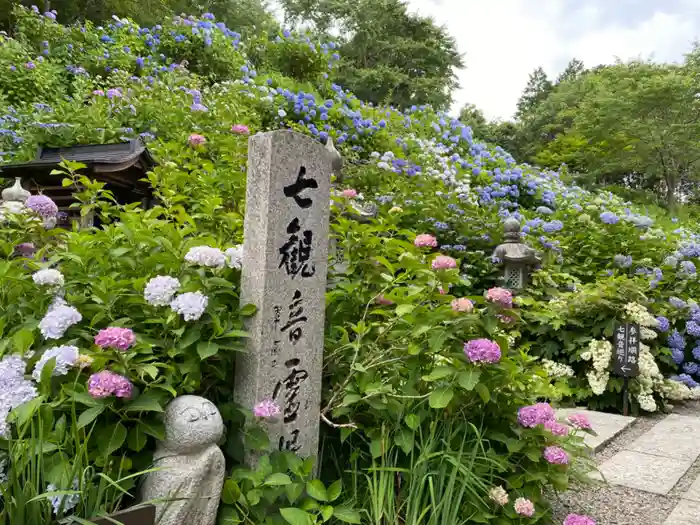 観音寺の建物その他