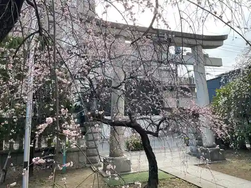 川口神社(埼玉県)