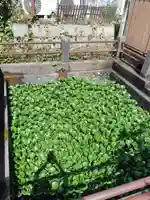 善応寺(茨城県)