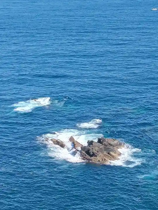 金剛福寺(高知県)
