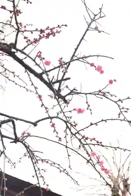 櫛田神社(福岡県)