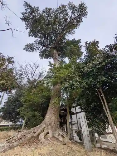 立石神社(香川県)