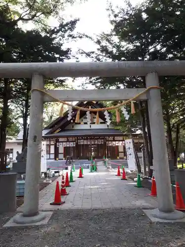 新琴似神社の鳥居