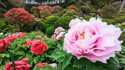 金蛇水神社(宮城県)
