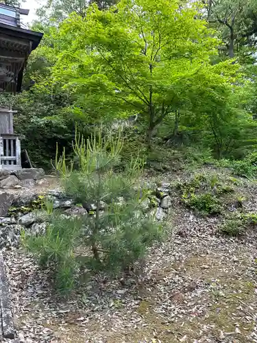 伊香具坂神社の自然