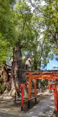 神田天満宮(大阪府)