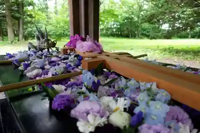 帯廣神社の手水舎