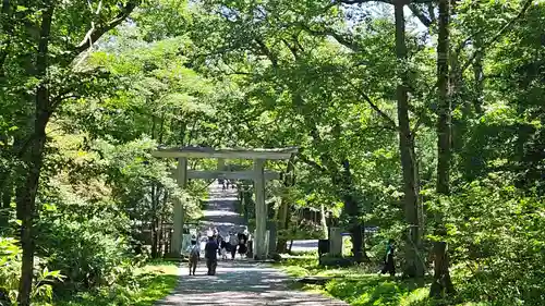 戸隠神社奥社(長野県)