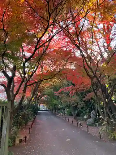 高円寺(東京都)