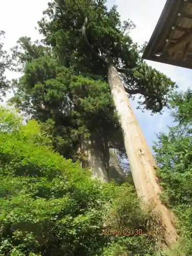 榛名神社の自然