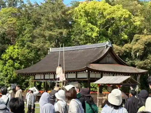 賀茂別雷神社（上賀茂神社）の{uncategorized: "未分類", other: "その他", undefined: "問題あり", building: "その他建物", grave: "お墓", sacred_gate: "鳥居", guardian: "狛犬", statue: "像", buddha: "仏像", history: "歴史", nature: "自然", garden: "庭園", animal: "動物", pagoda: "塔", temizu: "手水舎", mountain_gate: "山門・神門", sanctuary: "本殿・本堂", subordinate: "末社・摂社", art: "芸術", scenery: "景色", jizo: "地蔵", ema: "絵馬", goshuin: "御朱印", omikuji: "おみくじ", items: "授与品その他", amulet: "お守り", goshuincho: "御朱印帳", eats: "食事", festival: "お祭り", votive_dance: "神楽", shichigosan: "七五三参", wedding: "結婚式", experience: "体験その他", initially: "初詣", around: "周辺", anti_infection: "感染症対策"}