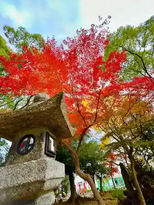 七所神社(愛知県)