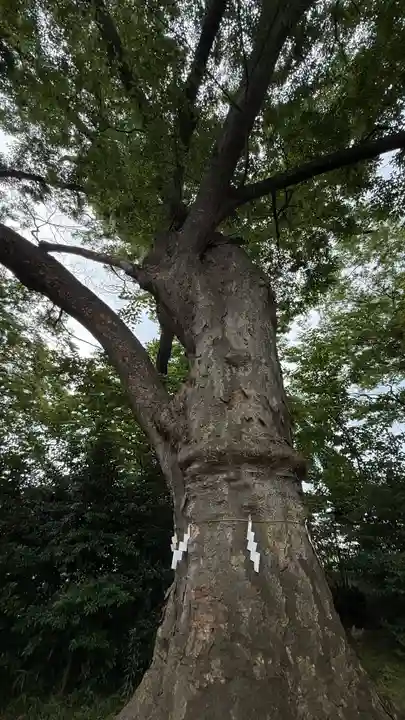 愛宕神社(福島県)