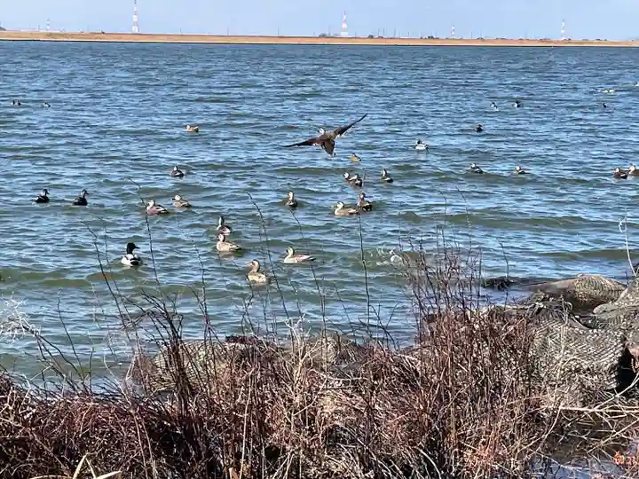 息栖神社の自然