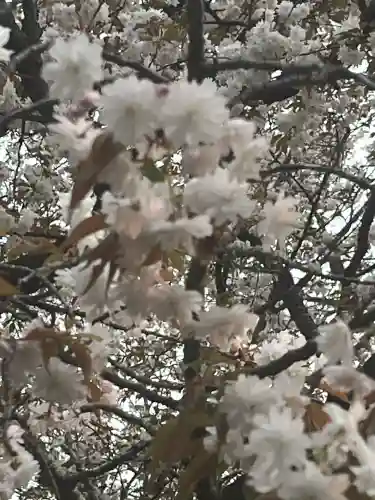 願成寺の{uncategorized: "未分類", other: "その他", undefined: "問題あり", building: "その他建物", grave: "お墓", sacred_gate: "鳥居", guardian: "狛犬", statue: "像", buddha: "仏像", history: "歴史", nature: "自然", garden: "庭園", animal: "動物", pagoda: "塔", temizu: "手水舎", mountain_gate: "山門・神門", sanctuary: "本殿・本堂", subordinate: "末社・摂社", art: "芸術", scenery: "景色", jizo: "地蔵", ema: "絵馬", goshuin: "御朱印", omikuji: "おみくじ", items: "授与品その他", amulet: "お守り", goshuincho: "御朱印帳", eats: "食事", festival: "お祭り", votive_dance: "神楽", shichigosan: "七五三参", wedding: "結婚式", experience: "体験その他", initially: "初詣", around: "周辺", anti_infection: "感染症対策"}